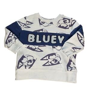 Bluey light blue graphic textured lettering crew sweatshirt SIZE 2T